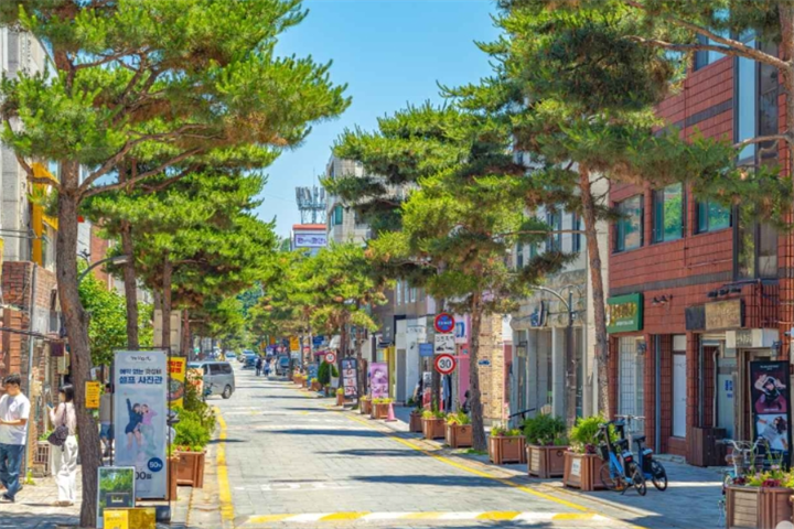 行理团路1 行理团路1
