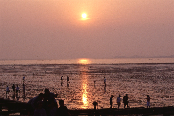 济扶岛4