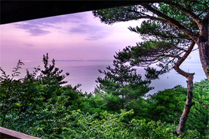 济扶岛6