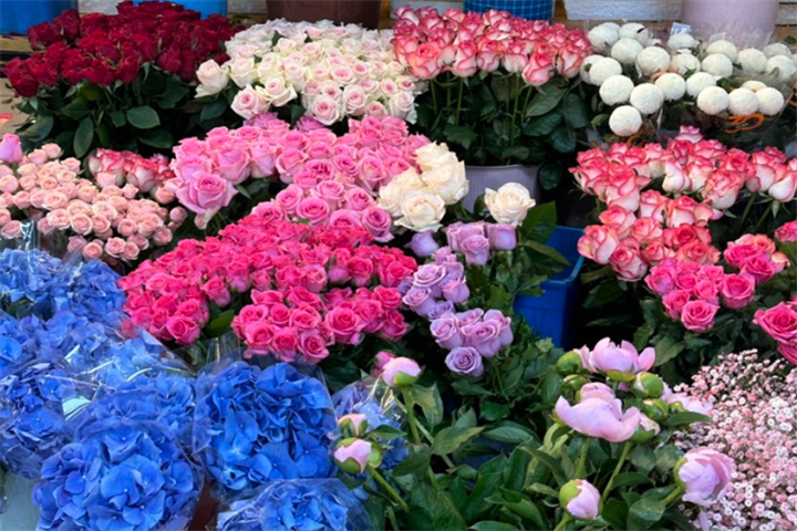 高速客运花3 高速客运花3