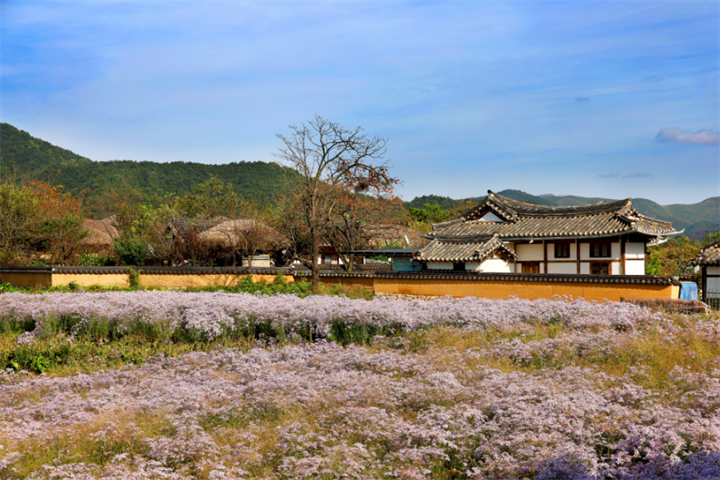 河回村3 河回村3