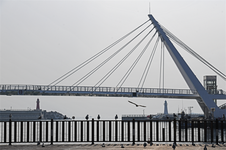 大浦港2 大浦港2