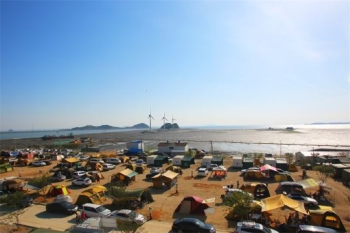 碳岛滩涂5 碳岛滩涂5