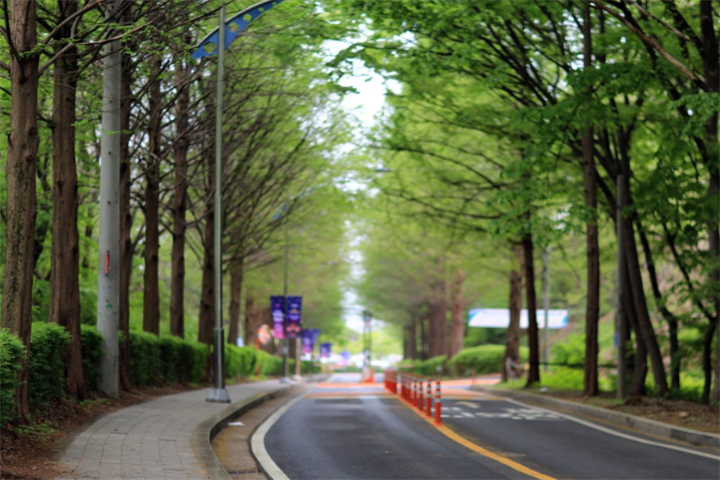 和平公园路2 和平公园路2