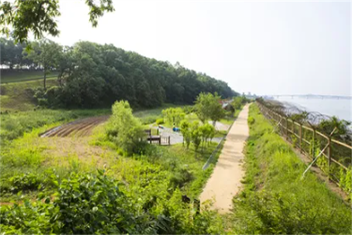 10.5日京畿道和平步行一日游