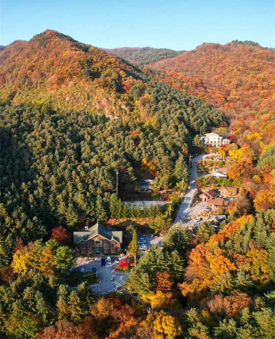 周王山2 周王山2