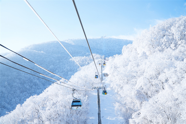 发旺山1 发旺山1