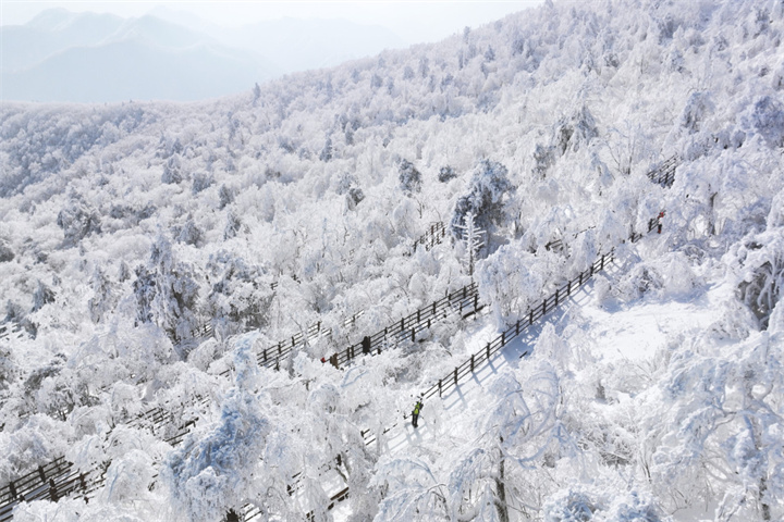 发旺山3 发旺山3