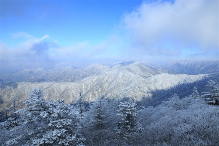 五台山国立公园6