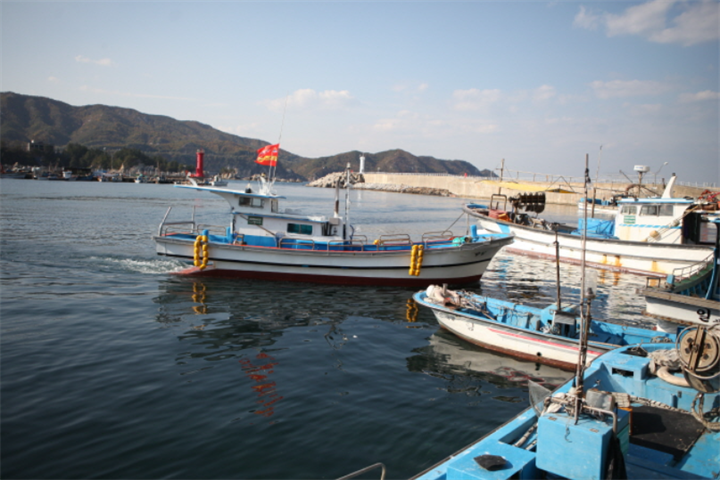 庄湖港1 庄湖港1