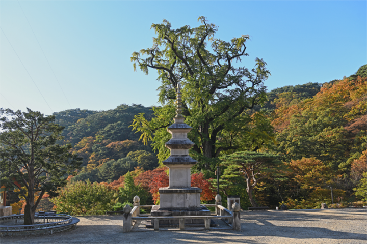 龙门寺2 龙门寺2