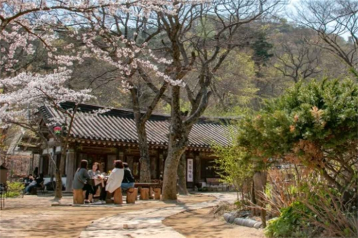 传灯寺4 传灯寺4