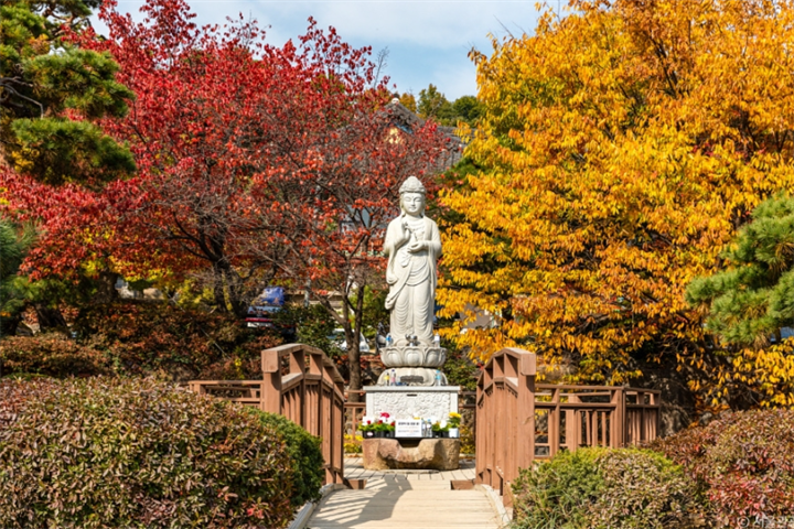 奉恩寺1 奉恩寺1