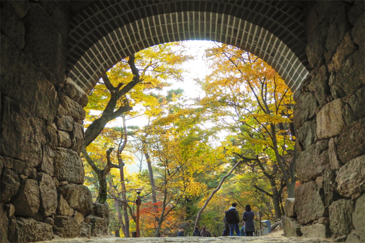 传灯寺2 传灯寺2