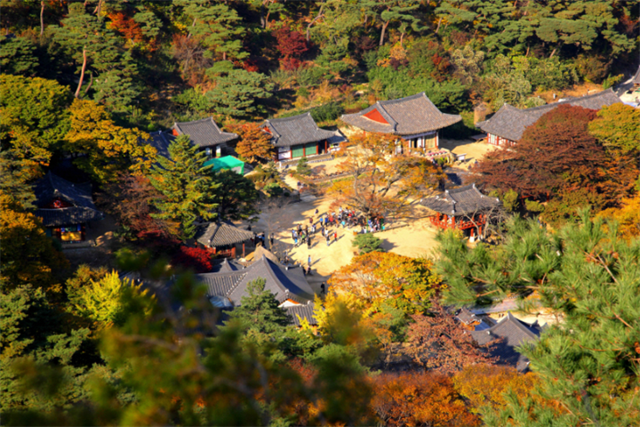 传灯寺1 传灯寺1