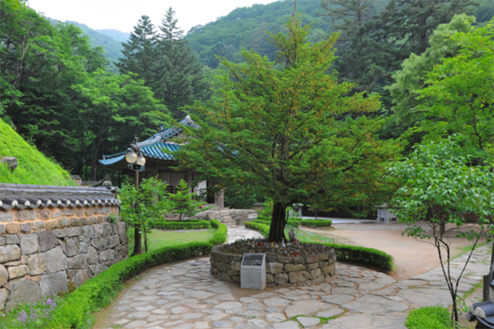 净岩寺3 净岩寺3