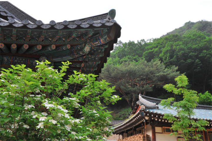 净岩寺2 净岩寺2