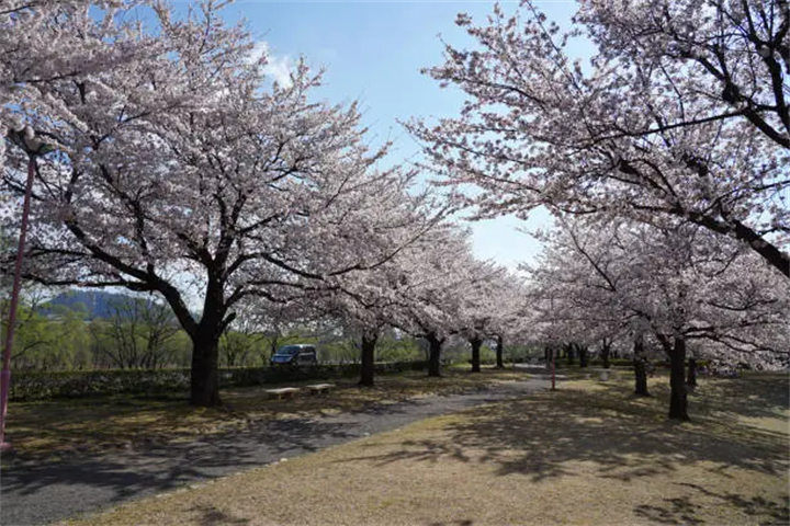 南山公园2