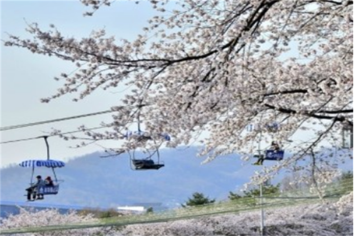 首尔大公园2