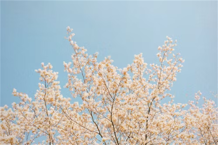 南山公园1
