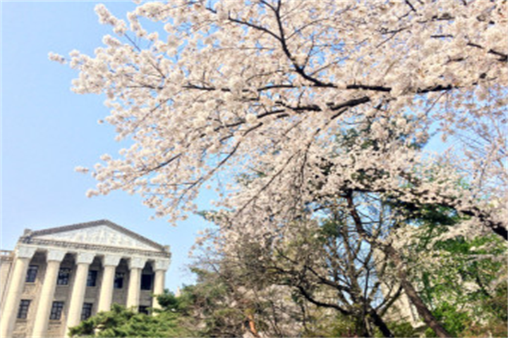 庆熙大学2