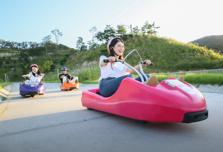 luge2