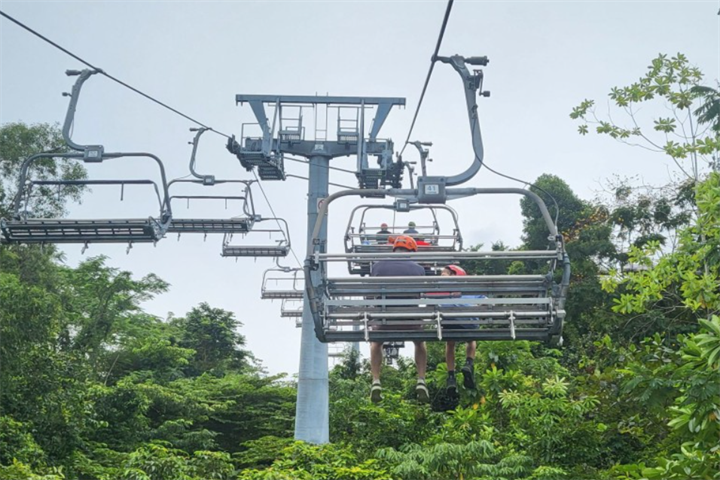 luge4