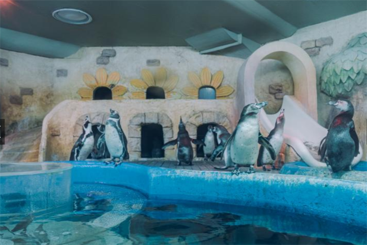 水族馆4