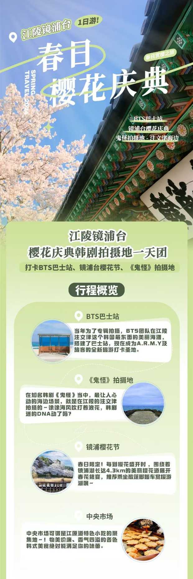 江陵镜浦台樱花庆典韩剧拍摄地一天团