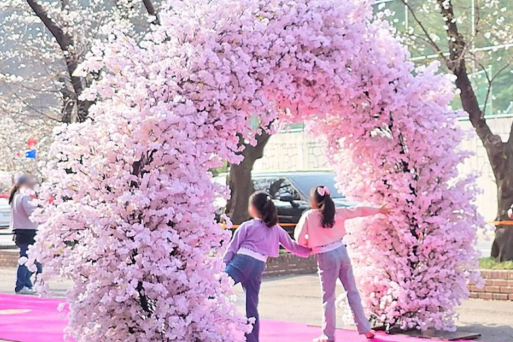 伊甸园樱花路3