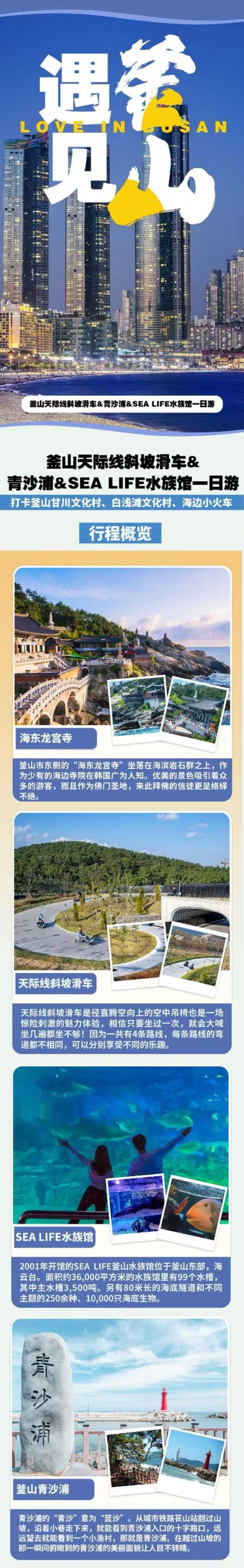 釜山天际线斜坡滑车&青沙浦&SEA LIFE水族馆一日游