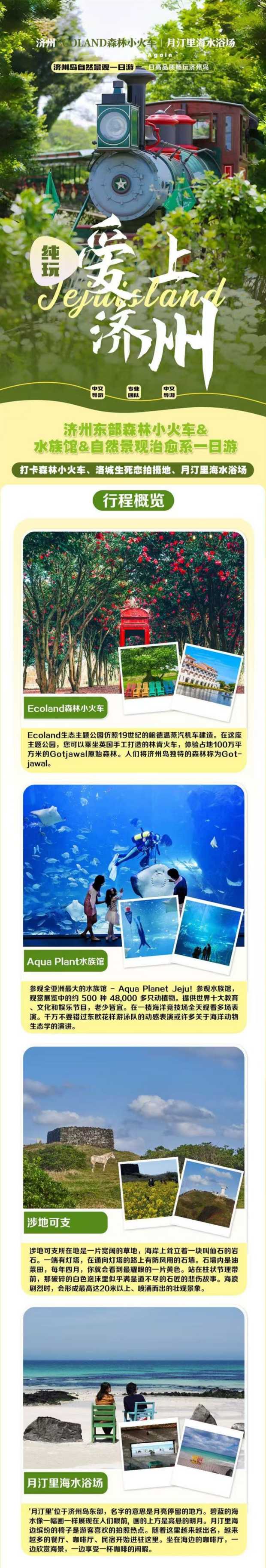 济州森林小火车&水族馆&自然景观一日游