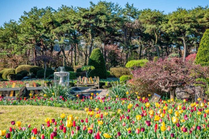 碧草地树木园7