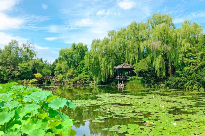 碧草地树木园8