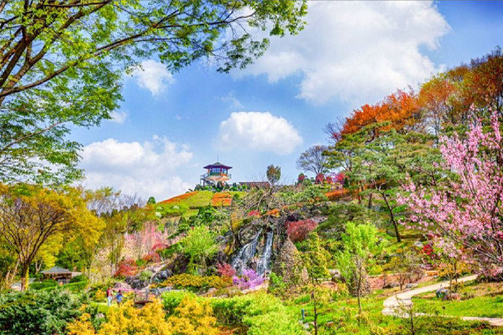 世宗beartree park4