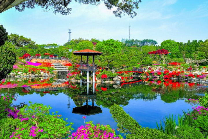 世宗beartree park1
