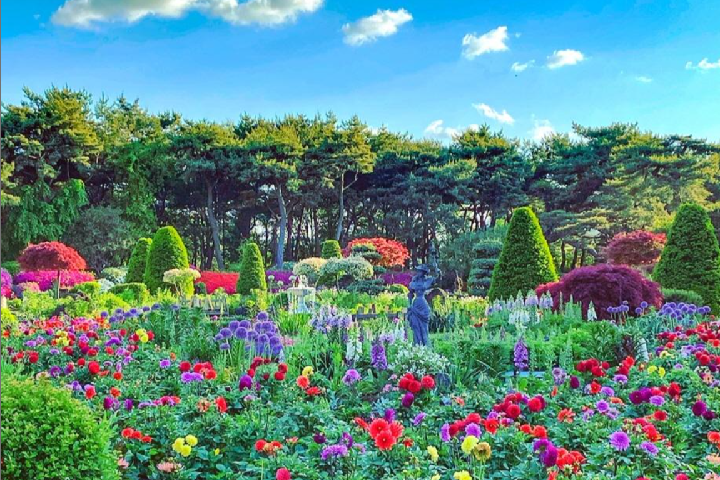 碧草地树木园6
