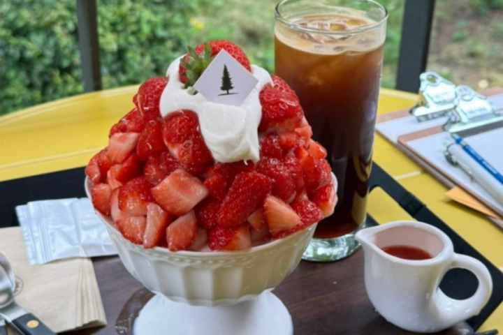 韩国夏季必吃雪冰店合集