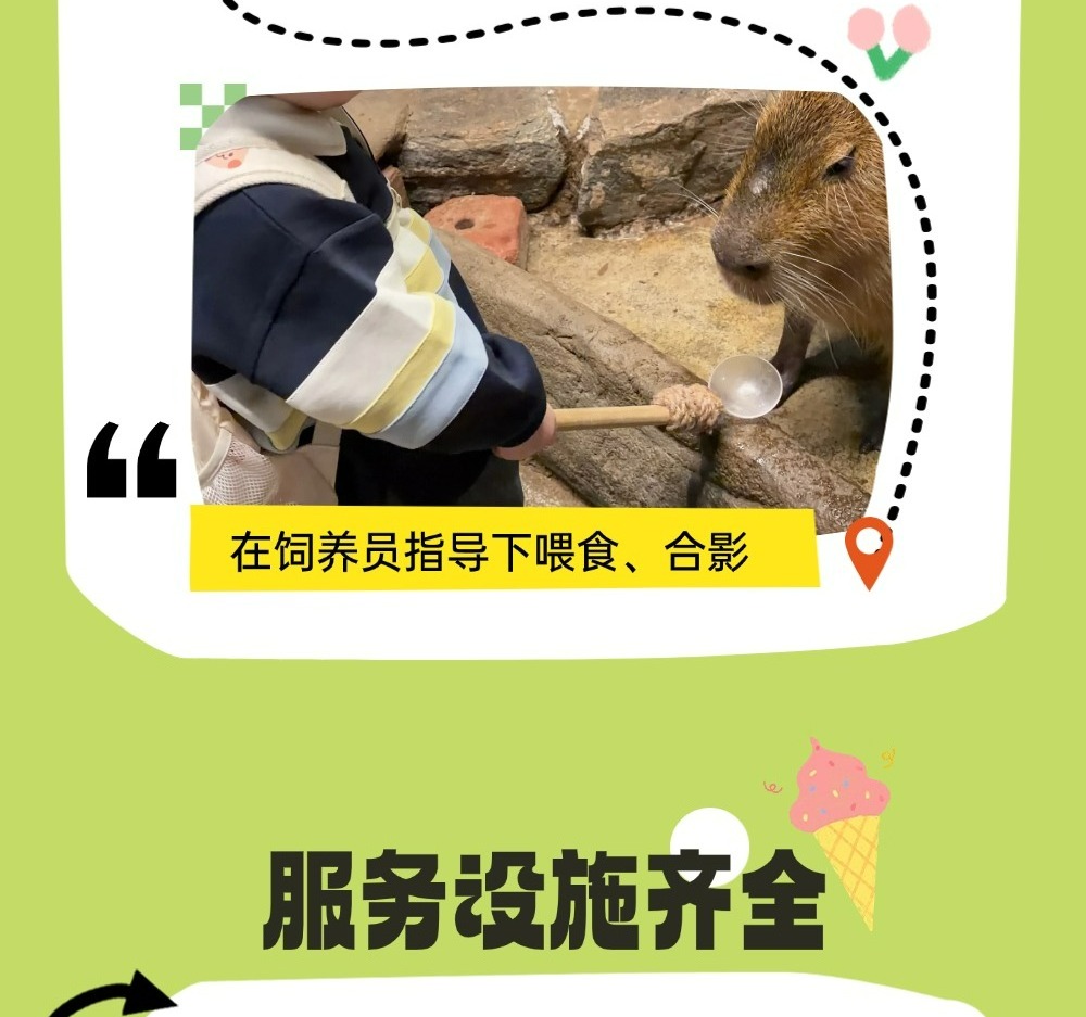 切图_zoolungzoolung-5 切图_zoolungzoolung-5