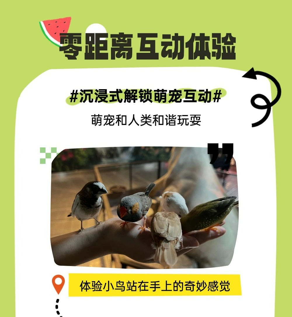 切图_zoolungzoolung-4 切图_zoolungzoolung-4