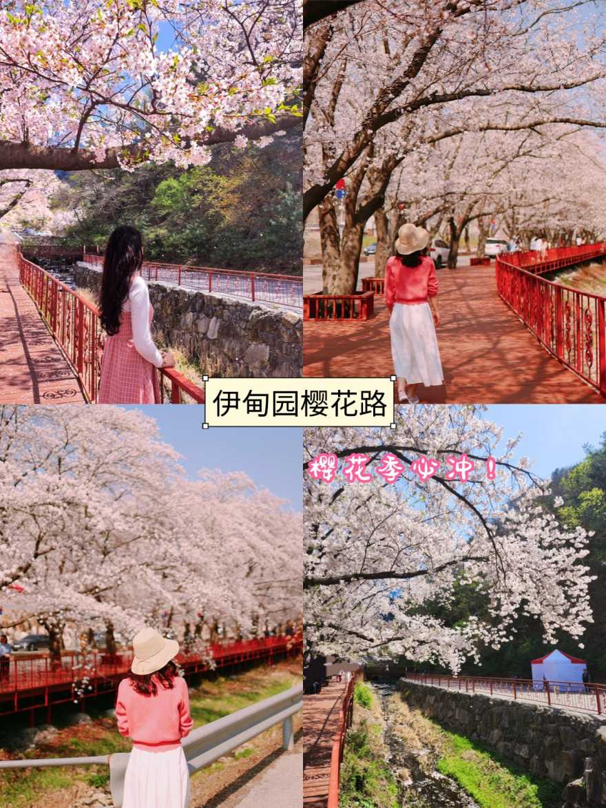 Instagram_30772037579____1713012424_2
