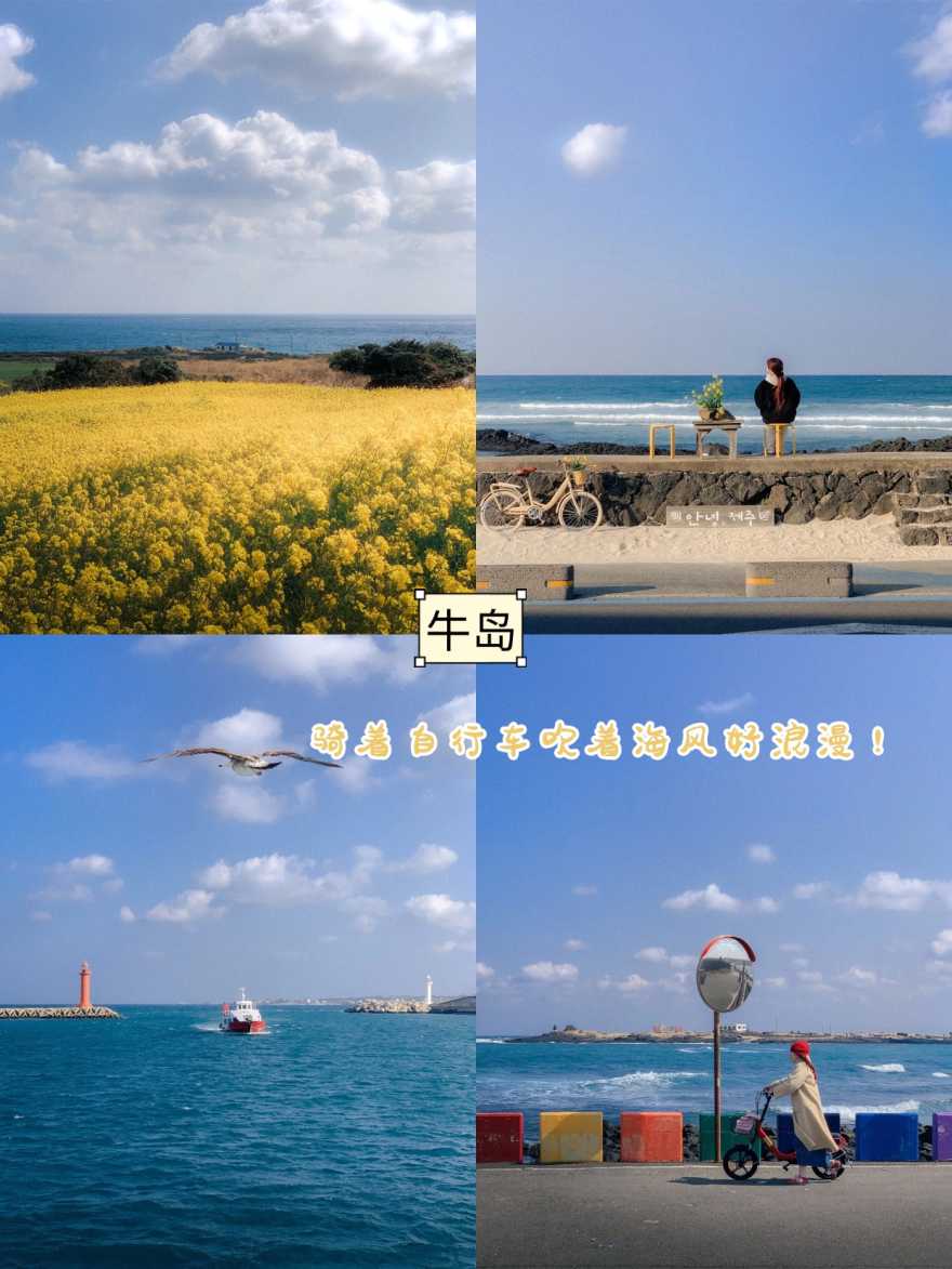 稿定设计-5 稿定设计-5