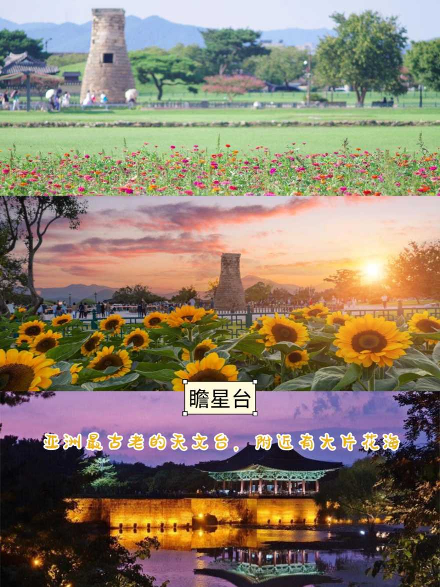 稿定设计-4 稿定设计-4