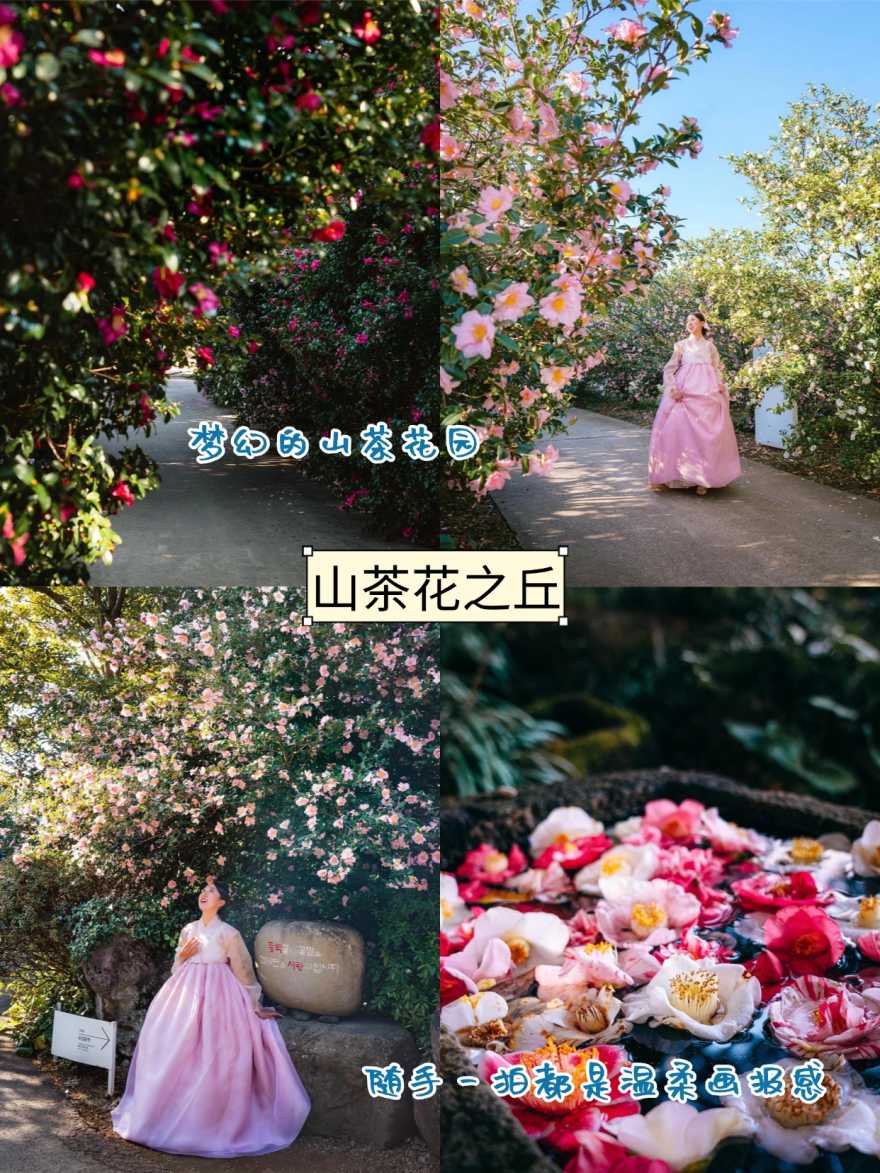 稿定设计-5 稿定设计-5