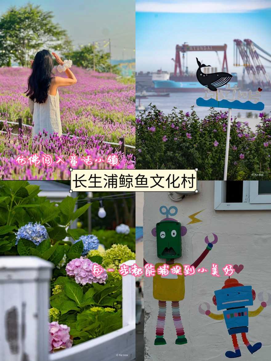 稿定设计-4 稿定设计-4