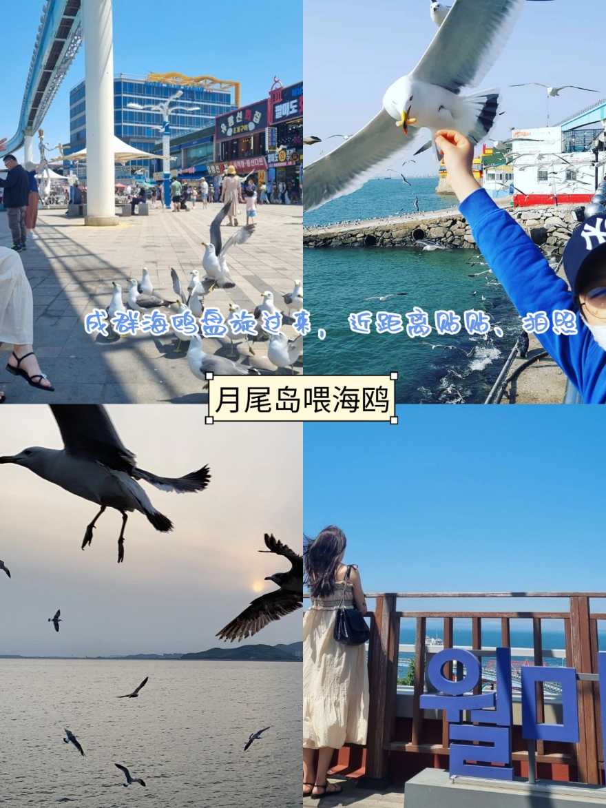 稿定设计-5 稿定设计-5