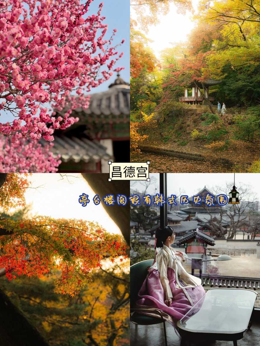 稿定设计-6 稿定设计-6