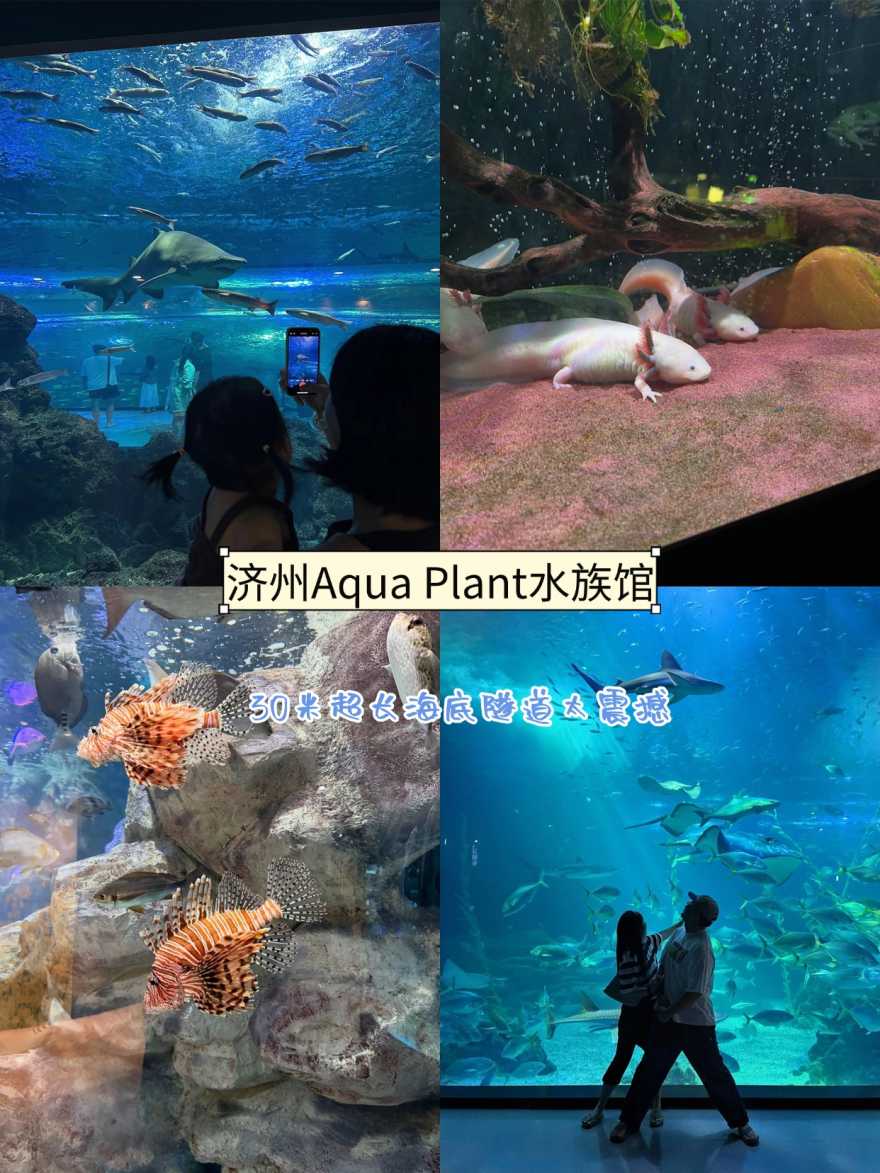 稿定设计-5