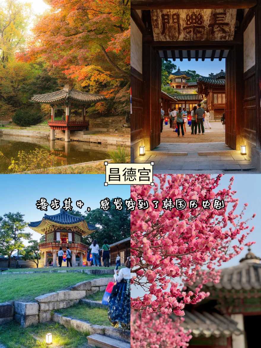 稿定设计-6 稿定设计-6