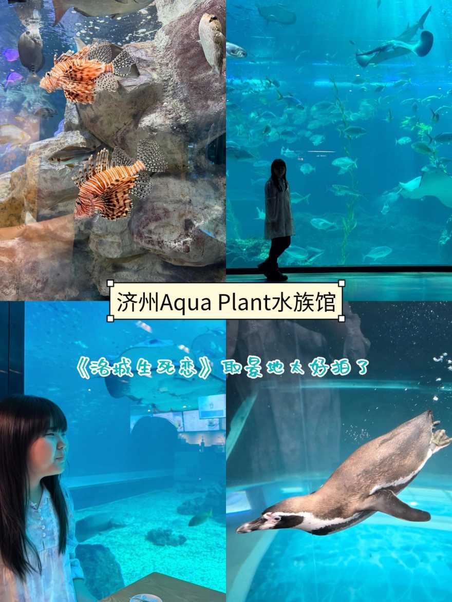稿定设计-7 稿定设计-7